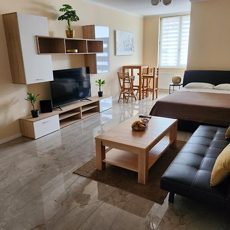 Studio Apartman Borlin Karlovac Bagian luar foto