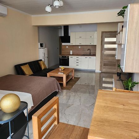 Studio Apartman Borlin Karlovac Bagian luar foto