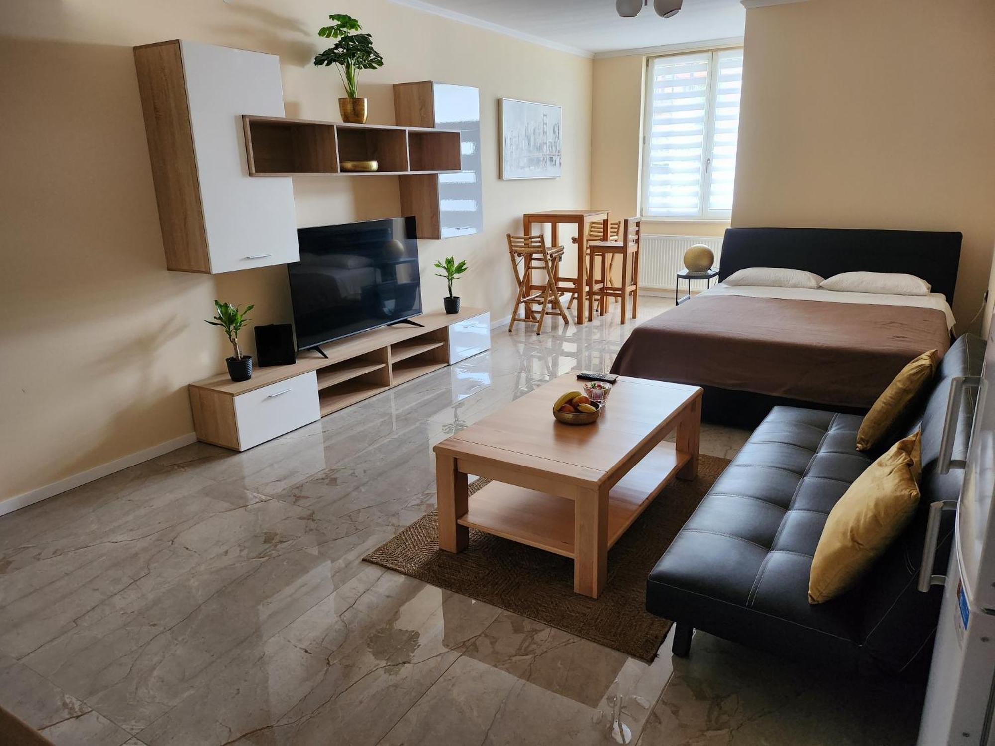 Studio Apartman Borlin Karlovac Bagian luar foto